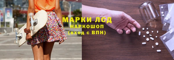 гашик Аркадак