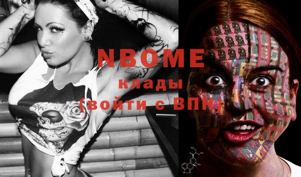 гашик Аркадак