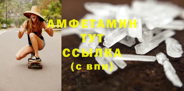 гашик Аркадак