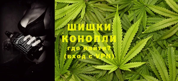 гашик Аркадак