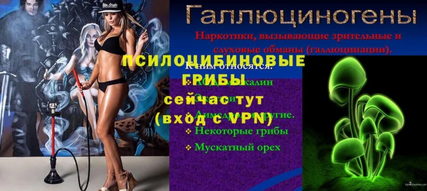 гашик Аркадак