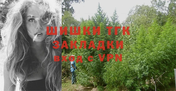 гашик Аркадак