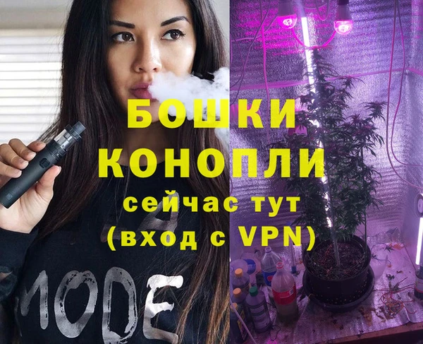 гашик Аркадак